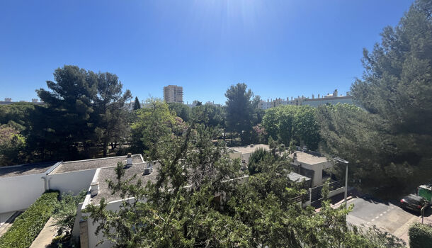 Appartement 3 pièces  à vendre Montpellier 34070
