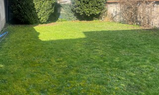 Photo N° 3