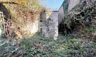 Photo N° 6