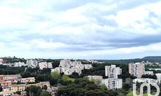 Photo N° 9