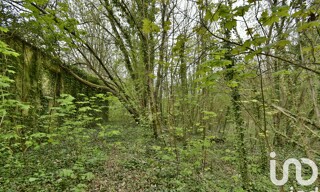 Photo N° 4