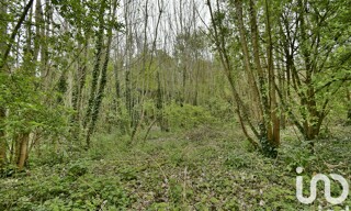 Photo N° 5