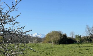 Photo N° 8