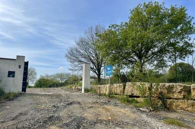 Terrain  50000 €