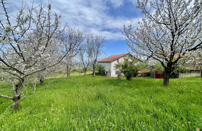 Authenticité, charme et potentiel sur un vaste domaine de pl — photo 2