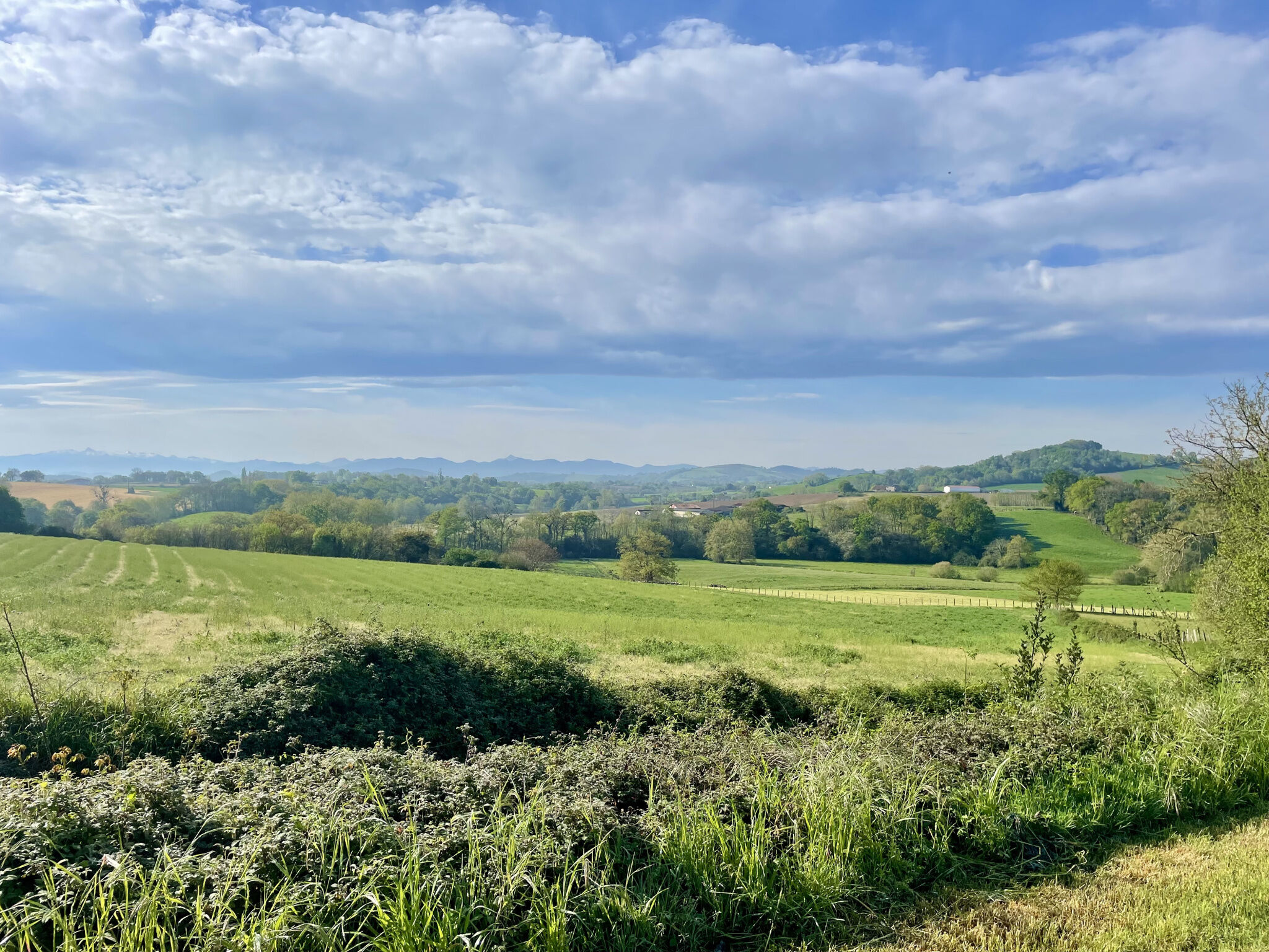 Terrain  à vendre Arraute-Charritte 64120