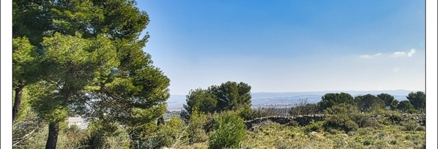 Terrain  3865 m² à vendre à Clermont-l'Hérault (34800)