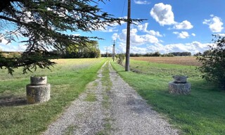Photo N° 5