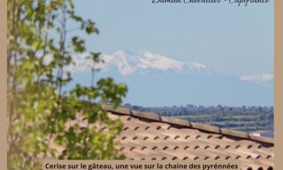 Photo N° 3