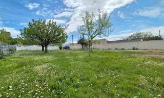 Photo N° 3