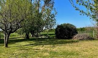 Photo N° 3