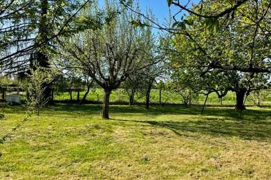 Terrain  60000 €