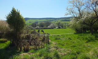 Photo N° 3