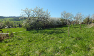 Photo N° 4