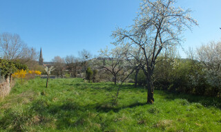 Photo N° 5