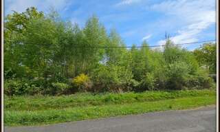 Terrain  3921 m² à vendre à Ervauville (45320)