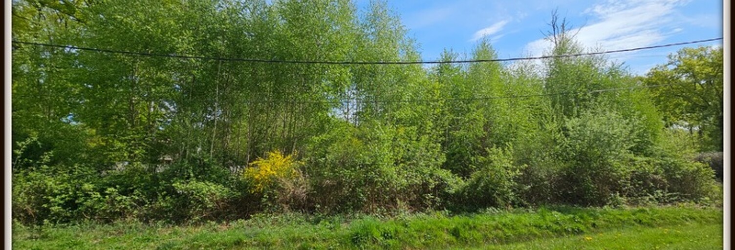 Terrain  3921 m² à vendre à Ervauville (45320)