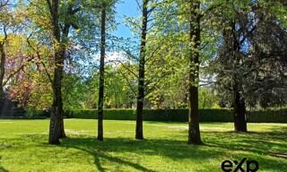 Photo N° 8