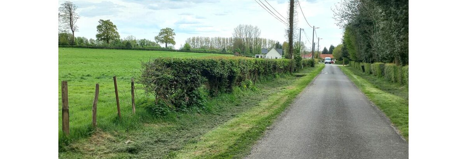 Photo N° 2