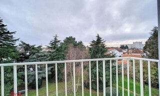 Photo N° 7