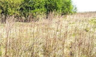 Terrain  503 m² à vendre à Marest-Dampcourt (02300)