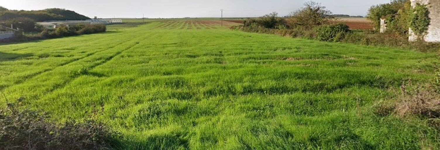 Terrain  3243 m² à vendre à Montreuil (85200)