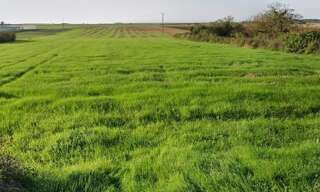 Terrain  3243 m² à vendre à Montreuil (85200)