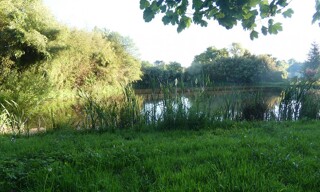 Photo N° 8