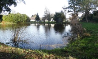 Photo N° 3