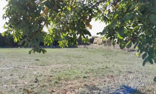 Terrain  685 m² à vendre à Saint-Martin-la-Pallu (86380)