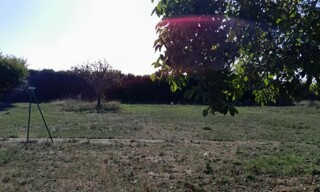 Photo N° 5