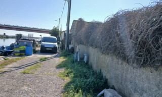 Photo N° 6