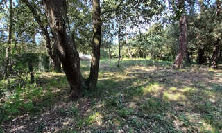 Terrain  1516 m² à vendre à Saint-Pierre-d'Oléron (17310)