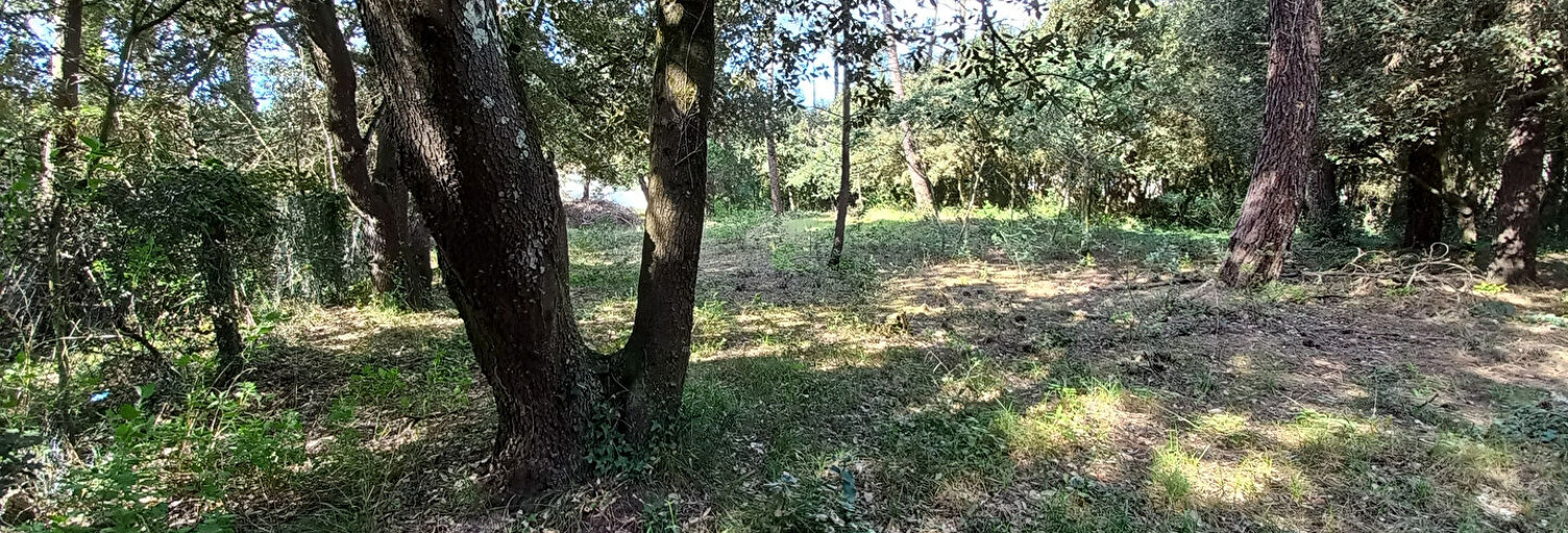 Terrain  1516 m² à vendre à Saint-Pierre-d'Oléron (17310)