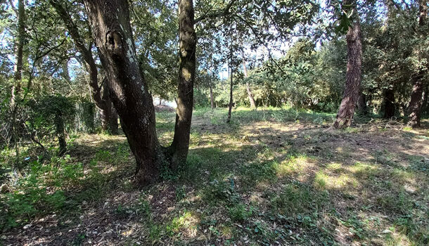 Terrain  à vendre Saint-Pierre-d'Oléron 17310