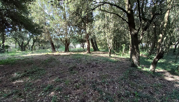 Terrain  à vendre Saint-Pierre-d'Oléron 17310