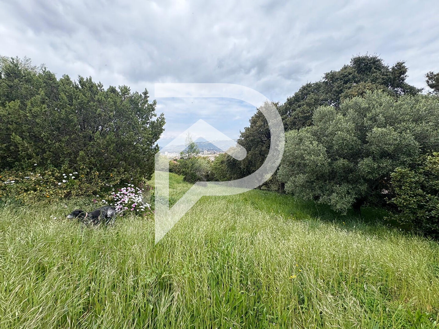 Villa / Maison 4 pièces  à vendre Seyne-sur-Mer (La) 83500