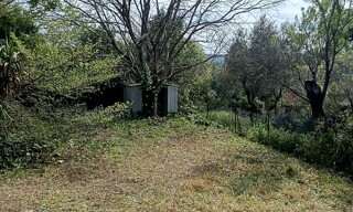 Photo N° 4
