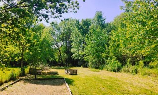 Photo N° 3