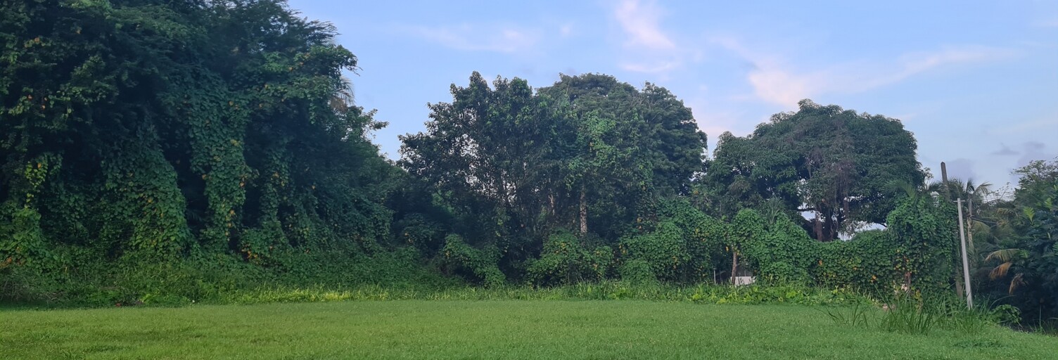 Terrain  963 m² à vendre à Morne-à-l'Eau (97111)