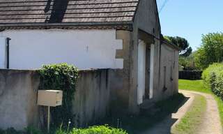 Photo N° 4