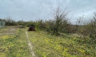 Photo N° 4