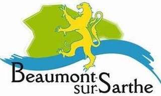 Maison 8 Pièces 156 m² à vendre à Beaumont-sur-Sarthe (72170)