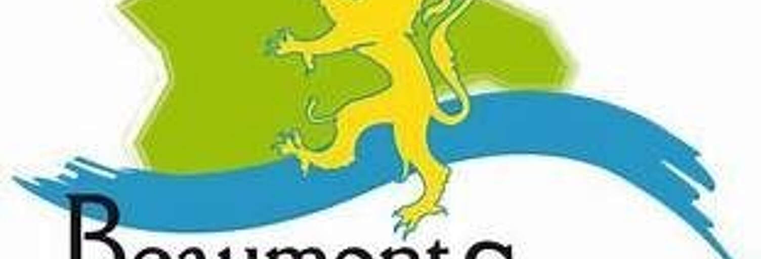 Maison 8 Pièces 156 m² à vendre à Beaumont-sur-Sarthe (72170)