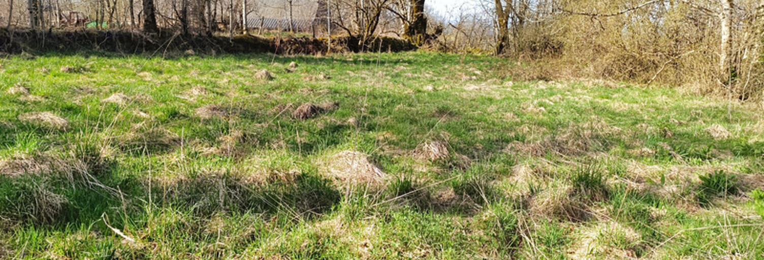 Maison 3 Pièces 100 m² à vendre à Saint-Vincent-de-Salers (15380)