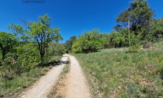 Photo N° 4