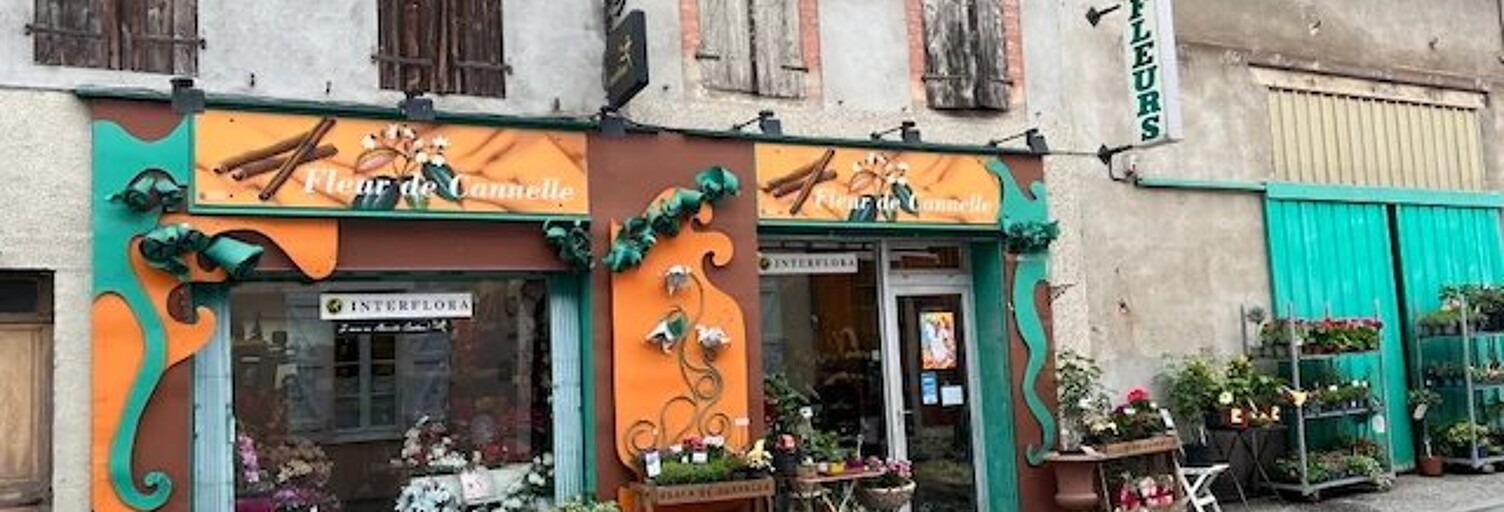 Commerce  250 m² à vendre à Carbonne (31390)