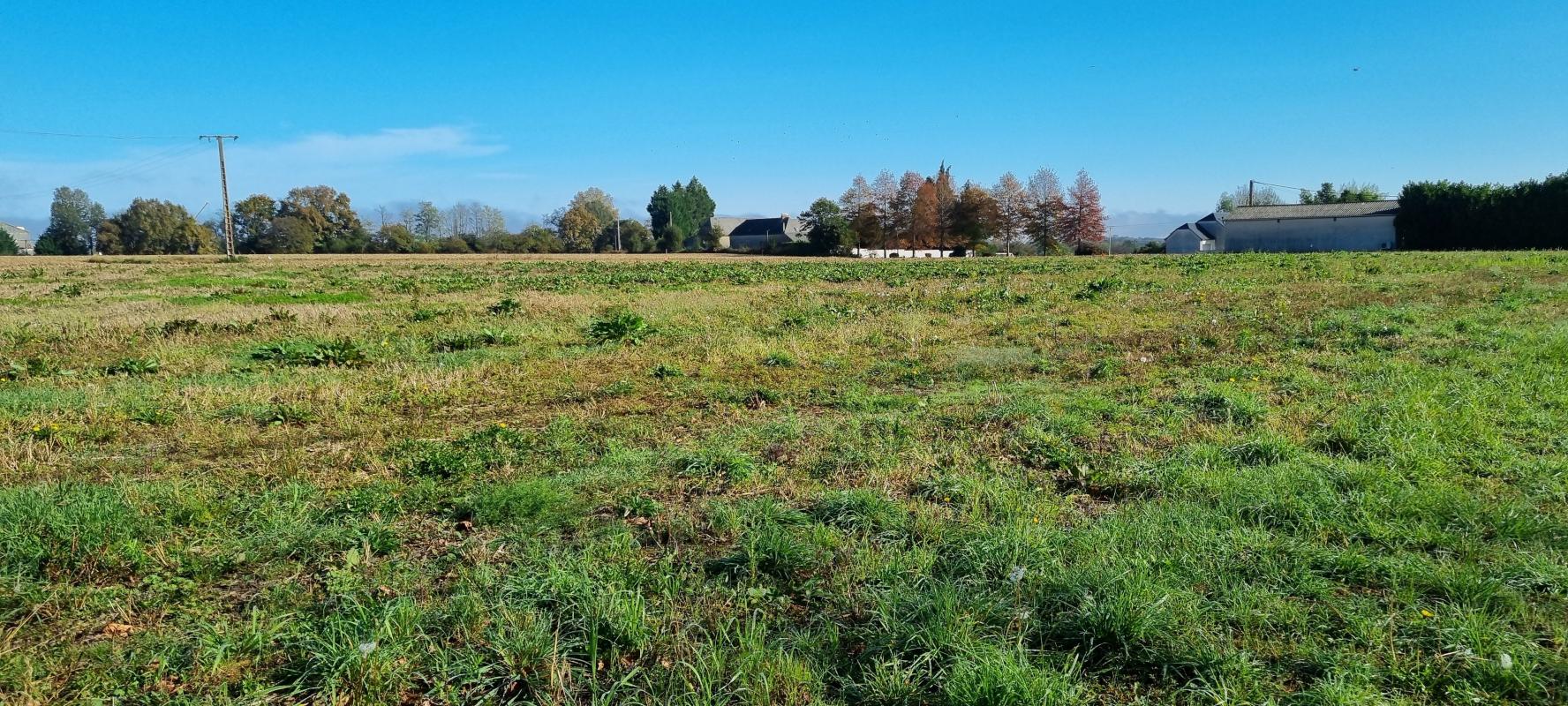 Terrain  à vendre Gardères 65320