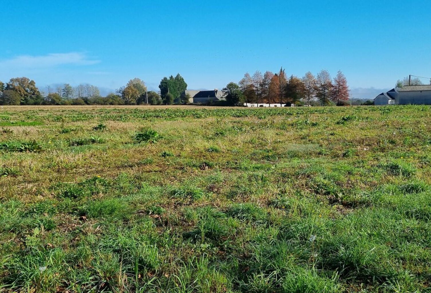 Terrain À Vendre — photo 1