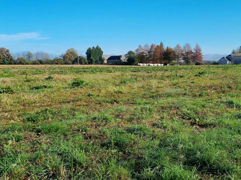 Terrain À Vendre — photo 1